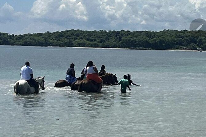 Bamboo Rafting and HorseBack Riding Excursion in OchoRios Jamaica - Getting from Your Cruise Port to the River Rafting Start
