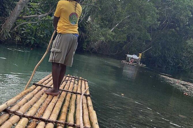 Bamboo River Rafting Experience from Ocho Rios - On the Bamboo Raft: Birds, Fish, and the Beer-Driven Chill
