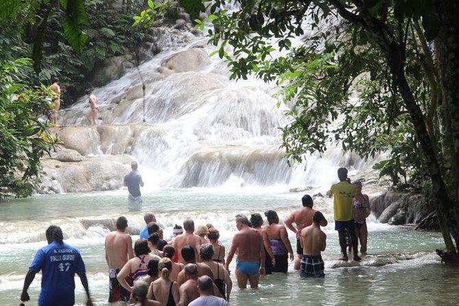 Beach Horseback Riding and Dunn’s River Falls - Who this tour suits best (and who should think twice)