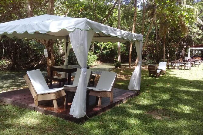 Blue Hole and Dunn’s River Falls Tour with Lunch and Cocktails at Reggae Hill - Price and Time: Is $159 Good Value for This Kind of Day?