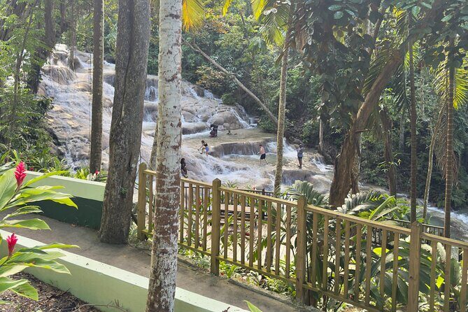 Blue Hole and Dunn's River Tour (Entrance Fees Not Included) - Who this tour suits best in Ocho Rios