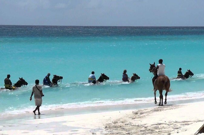 Blue Hole and Horseback Riding and Shopping - How the 5-Hour Schedule Works for Cruise Days