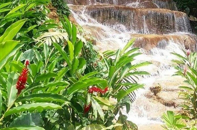 Blue Hole And Konoko Falls Combo Tour From Ocho Rios & Runaway Bay! - The Real Activity Level: Wet, Climbable, and Not for Everyone