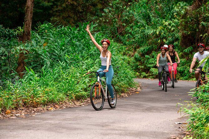 Blue Mountain Bicycle Tour - Key highlights you’ll actually care about
