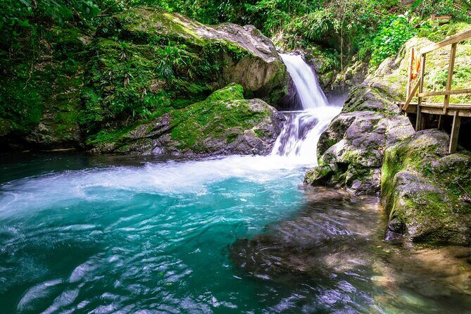 Blue Mountain Bicycle Tour - The long drive up from Ocho Rios to the Blue Mountains