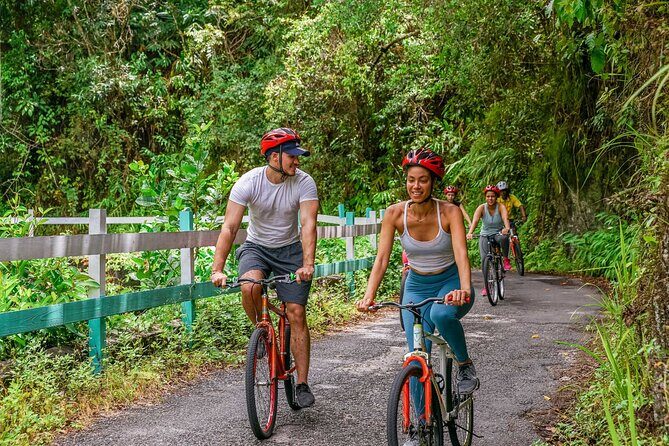 Blue Mountain Bicycle Tour - Bike setup and safety gear before you coast down