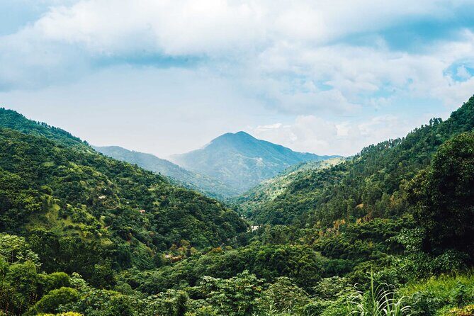 Blue Mountain Highlights - Your activity choice: downhill biking through the rain forest, or a lighter pace