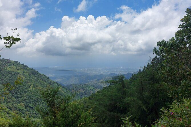Blue Mountain Sight-Seeing & Nature Trail Hike with Private Guide - Price and value: does $200 per person make sense?