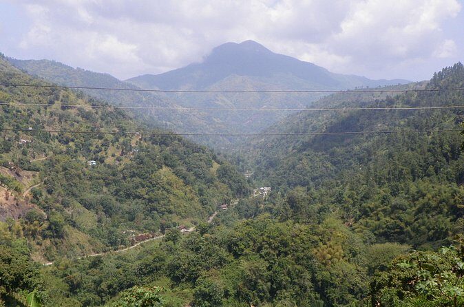 Blue Mountain Tour with Hotel Transportation - What the Inclusions Mean for Your Comfort (and Your Wallet)