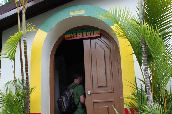 Bob Marley Mausoleum Tour from Ocho Rios - Fern Gully: the quick nature moment you’ll actually remember