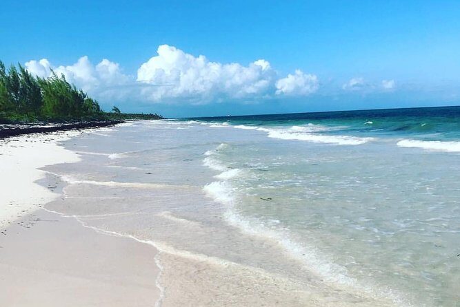Dunn's River Falls and Beach From Ocho Rios Jamaica - Dunn’s River Falls in 3 Hours: Why This Half-Day Works
