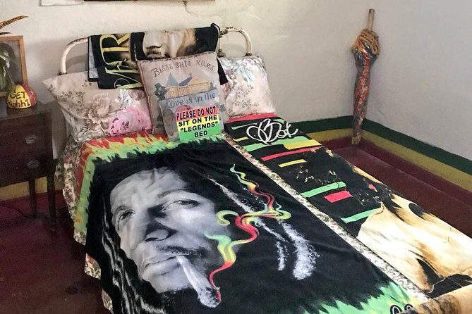Dunns River Falls & Bob Marley - Pickup, Private Transportation, and Staying on Schedule