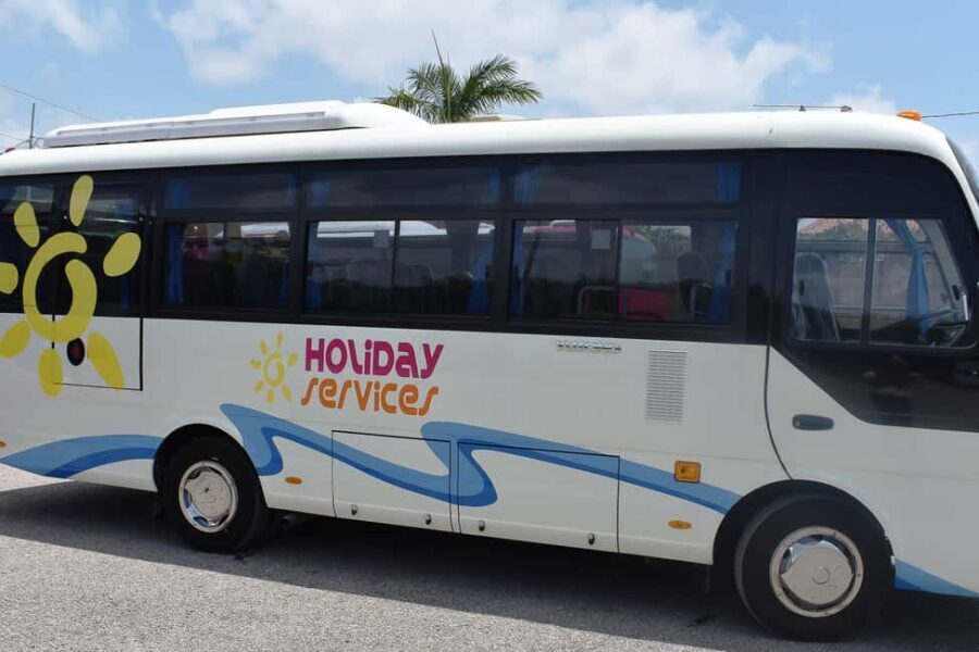 Dunn's River Falls, Bob Marley 9 Mile - Optional Lagoon Tour - Ocho Rios Lunch and Shopping Time: When You Should Slow Down