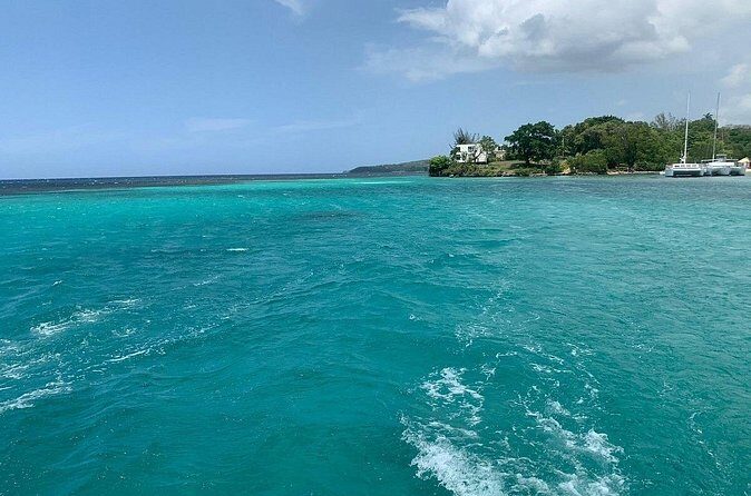 Dunn's River Falls Party Cruise, Blue Hole with Snorkeling, free beverages - The Catamaran Party Cruise: DJ Energy and Free Drinks That Change the Mood