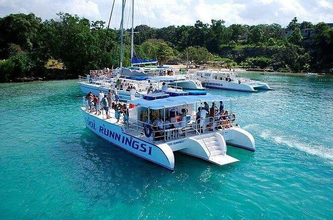 Dunn's River Falls Party Cruise, Blue Hole with Snorkeling, free beverages - Snorkeling on the Reef: How to Get the Most Out of It