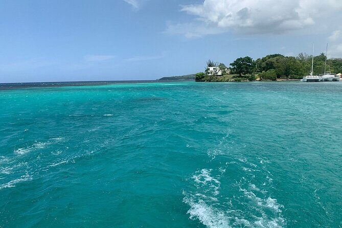 Dunn's River Falls Party Cruise, Blue Hole with Snorkeling, free beverages - Price and Value: Is $165.30 Worth It?