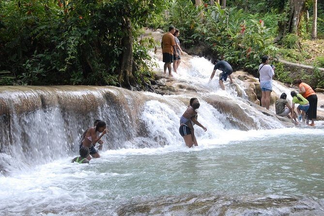 Dunn's River Falls Tour from Ocho Rios - Private tour value: how $109.75 per person stacks up