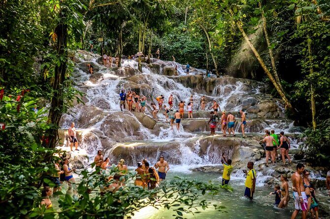 Dunns River Falls, Zipline, Bamboo Rafting, Horseback Ride Tour - Who should book this tour, and who should skip it