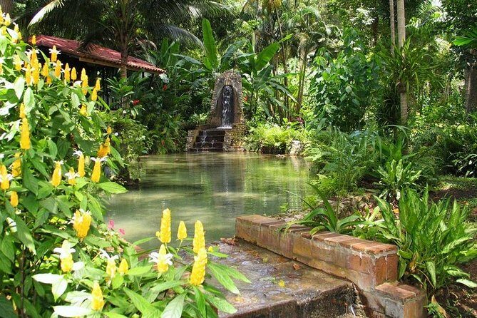 Eco Explorers Waterfall, Rainforest, local Shopping with lunch - Konoko Falls Park: the waterfall stop that starts the photos early