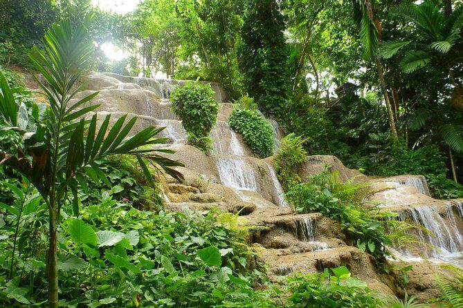 Eco Explorers Waterfall, Rainforest, local Shopping with lunch - Guides, music, and the difference between a ride and an experience