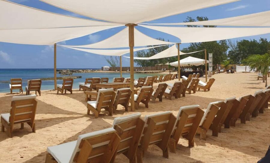 Falmouth: Dunn’s River Falls & Bamboo Beach Club VIP Access - Who Should Skip (and Who Will Love It) at This Price