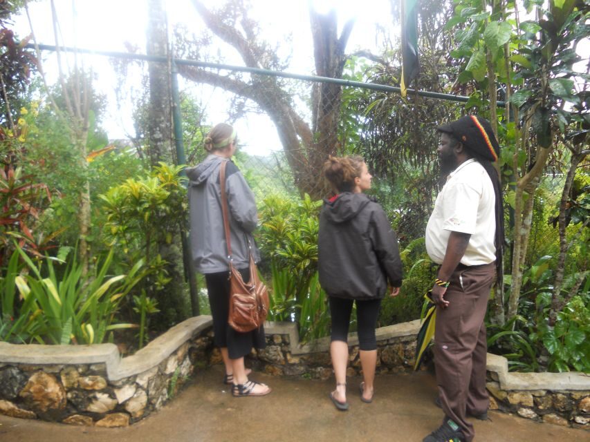 From Ocho Rios: Bob Marley & Dunn’s River Falls 6/7Hour Tour - The falls park: photos, souvenirs, and a place to eat