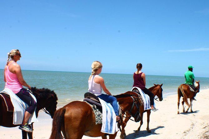 Half Day Beach Horseback Riding in Ocho Rios + Lunch - Ocho Rios beach horseback riding with lunch: what the day actually feels like