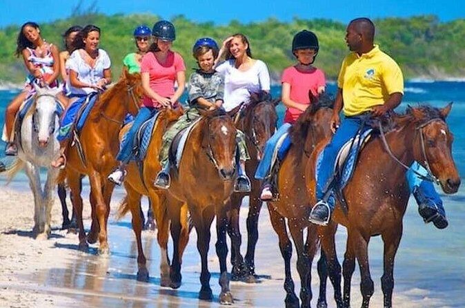 Horse Back riding Excursion - Price and value: is $95 per person a good deal?
