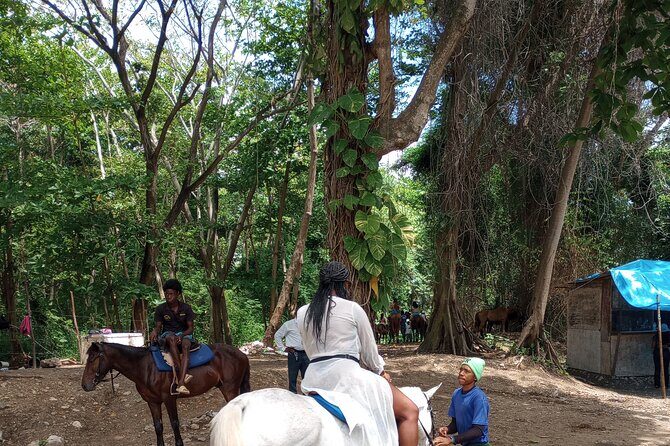 Horseback riding, Blue hole or Dunn's River Combo - How This Combo Works in Real Life (4 to 5 Hours)