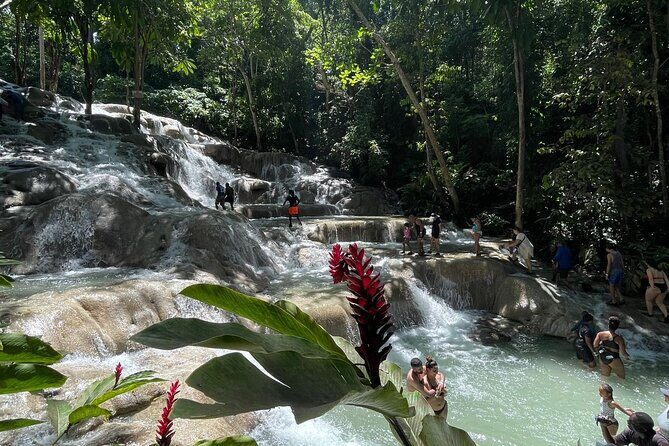Horseback Riding/Swimming and Dunn's River from Ocho Rios - Who Should Book This Tour (and Who Should Think Twice)