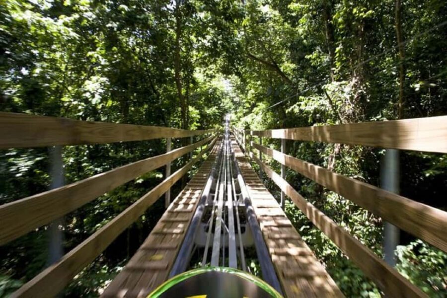 Jamaica Bobsled and Zip Line Adventure Tour - Quick hits before you go