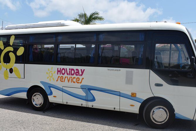 Jamaica Combo Tour: Dunn's River Falls and Bob Marley’s Nine Mile - Dunn’s River Falls climb: how to enjoy the water without stress
