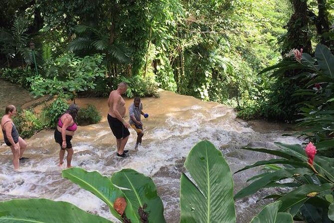 Konoko Falls and Tropical Garden Tour from Ocho Rios - How the half-day timing works (and why it matters for your schedule)