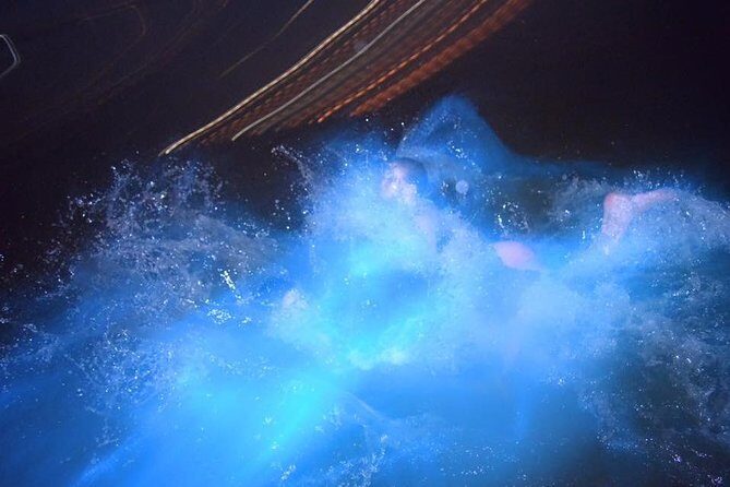 Luminous Lagoon Night Tour from Ocho Rios - Price and Value: What $120 Actually Covers
