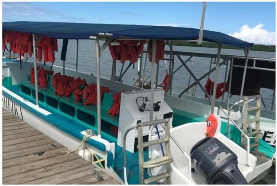 Luminous lagoon : Night Tour from Ocho Rios and Runaway Bay - The guide and captain factor: quality can shape the night