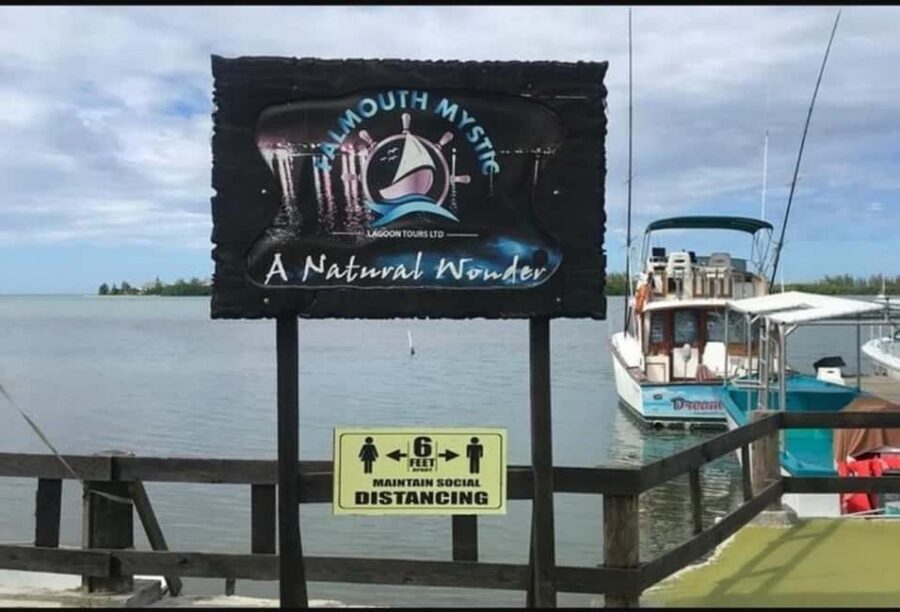 Luminous lagoon : Night Tour from Ocho Rios and Runaway Bay - What you’ll actually do in the lagoon (and how to get the best effect)