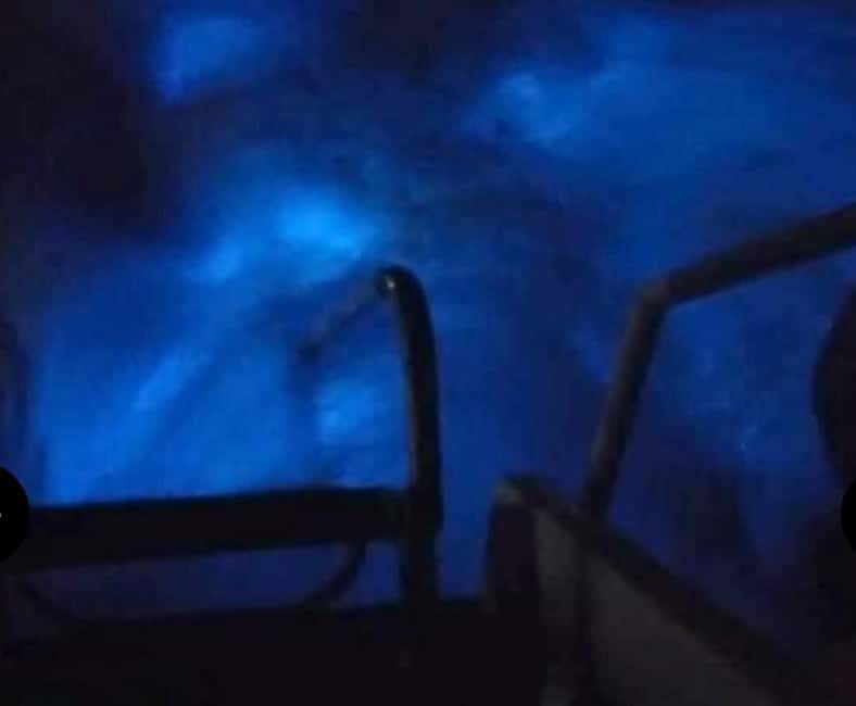 Luminous lagoon : Night Tour from Ocho Rios and Runaway Bay - Value for $81: is it worth it?