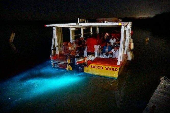 Luminous Lagoon Small Group Tour from Ocho Rios - The lagoon boat ride: what you’ll actually see on the water