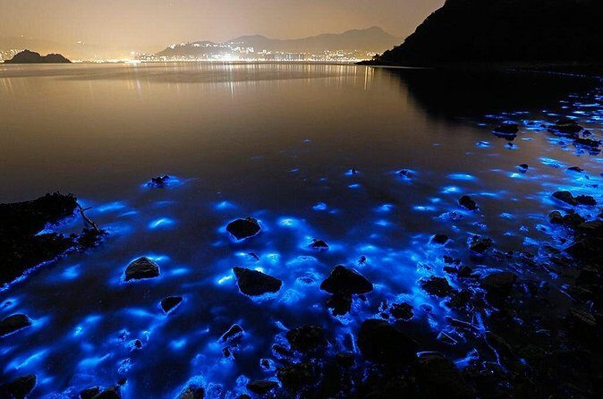 Luminous Lagoon Small Group Tour from Ocho Rios - Swimming in the glow: how to make it comfortable and worthwhile