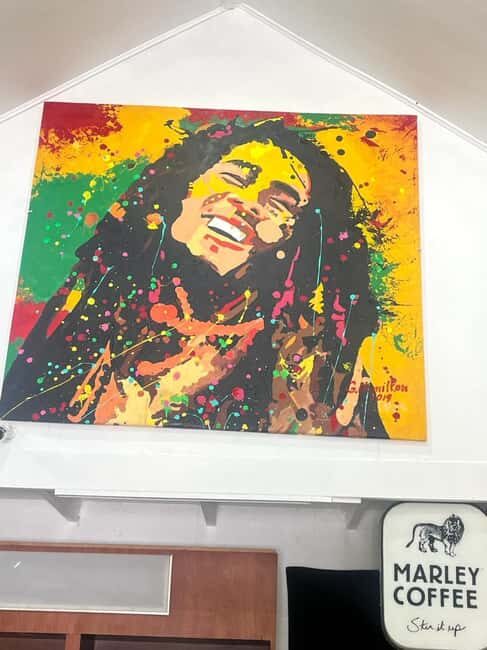 Ocho Rios: Bob Marley's Birthplace Nine Mile Reggae Tour - Practical tips for a smoother day in Nine Mile