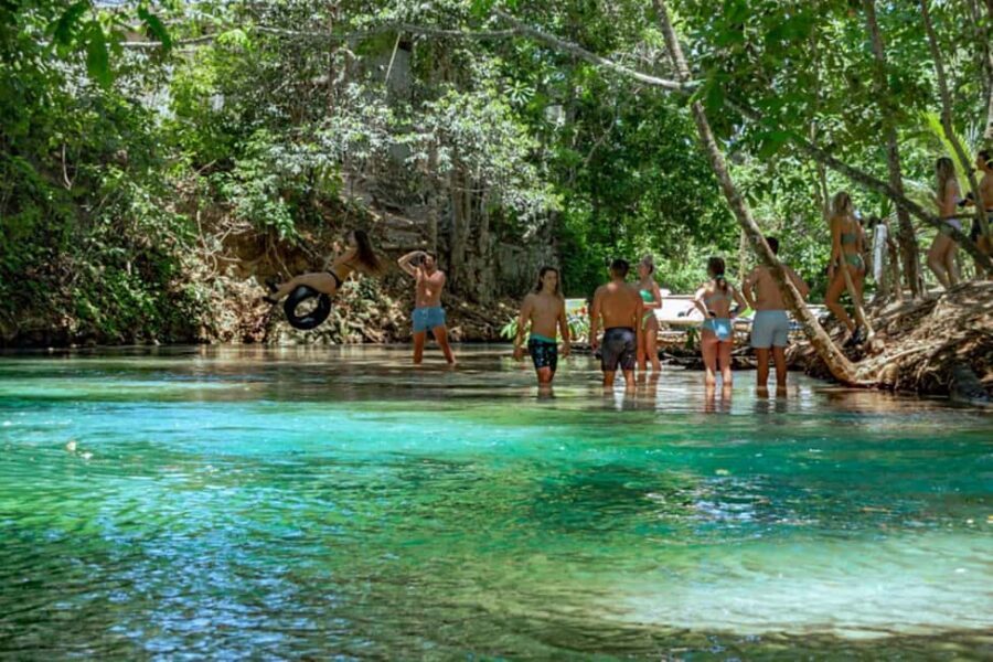 Ocho Rios: Dunn’s River Falls & Reggae Hill Tour - Key things that make this tour work (and what to keep an eye on)