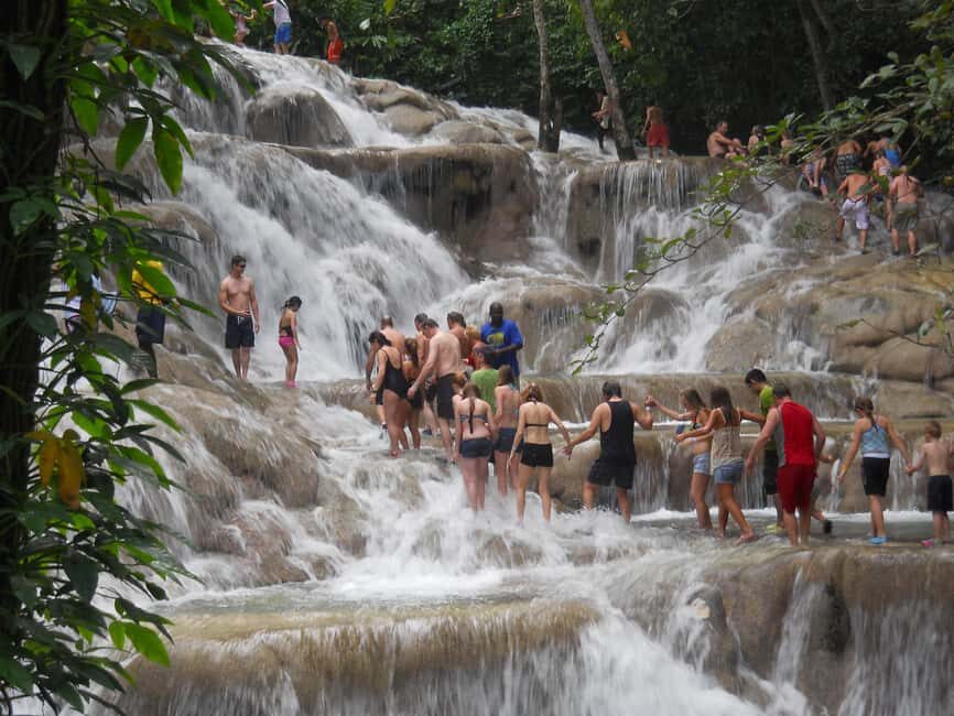 Ocho Rios: Dunn’s River Falls & Reggae Hill Tour - Timing and cruise pickups: why your schedule needs extra attention