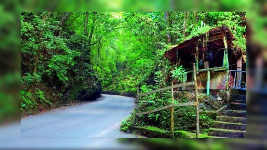 Ocho Rios: Guided Sightseeing Tour - Key Highlights Worth Clocking