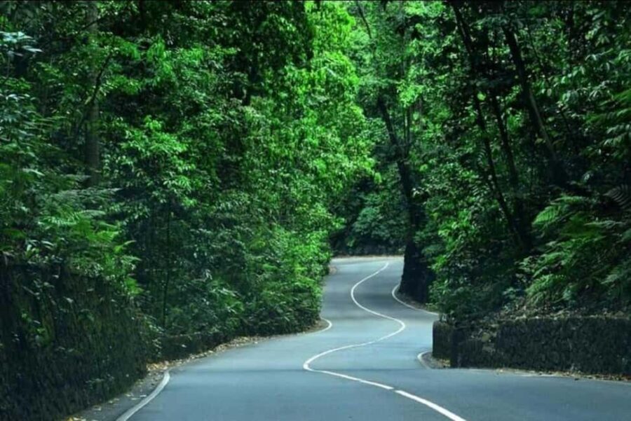 Ocho Rios: Guided Sightseeing Tour - Comfort, Safety, and What to Bring for an Outdoor Day
