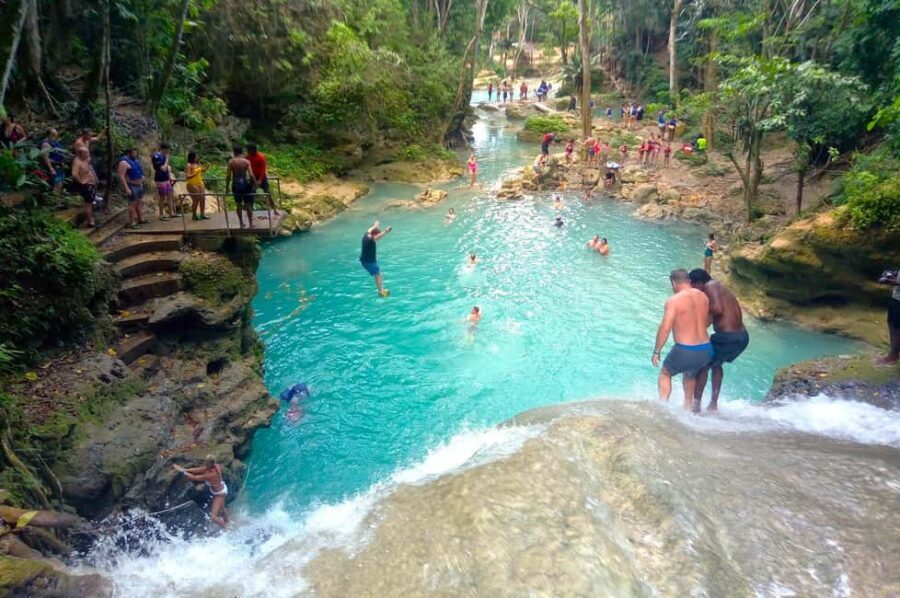 Ocho Rios: Irie Blue Hole and River Tubing Tour - Cascade Rainforest area: where the tone shifts from car ride to jungle play