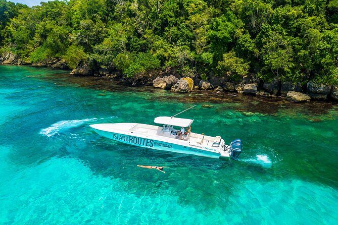 Ocho Rios Powerboat & Dunn’s River Falls Adventure - Price and value: what $240 per person covers in real terms