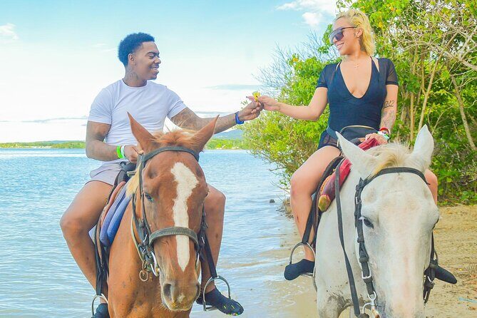 Private ATV, Horse Back Ride & Blue Hole Experience in Ocho Rios - Where it starts: Island Village Jamaica and why location matters