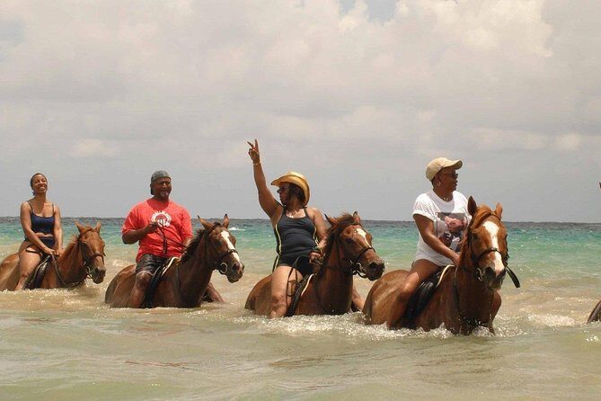 Private Beach Horseback Riding from Ocho Rios - Price and Value: Is $136.75 a Good Deal?
