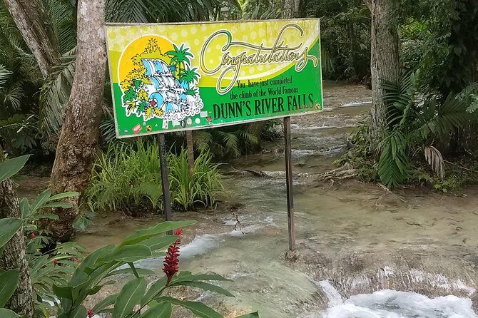 Private Dunn's River Falls from Ocho Rios - The waterfall climb: what the guided trek to the top actually gives you