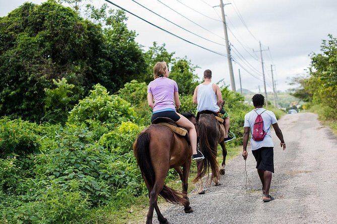 Private Horseback Riding from Ocho Rios with Guide - Ocho Rios Private Horseback Riding: What You’re Actually Buying for $140
